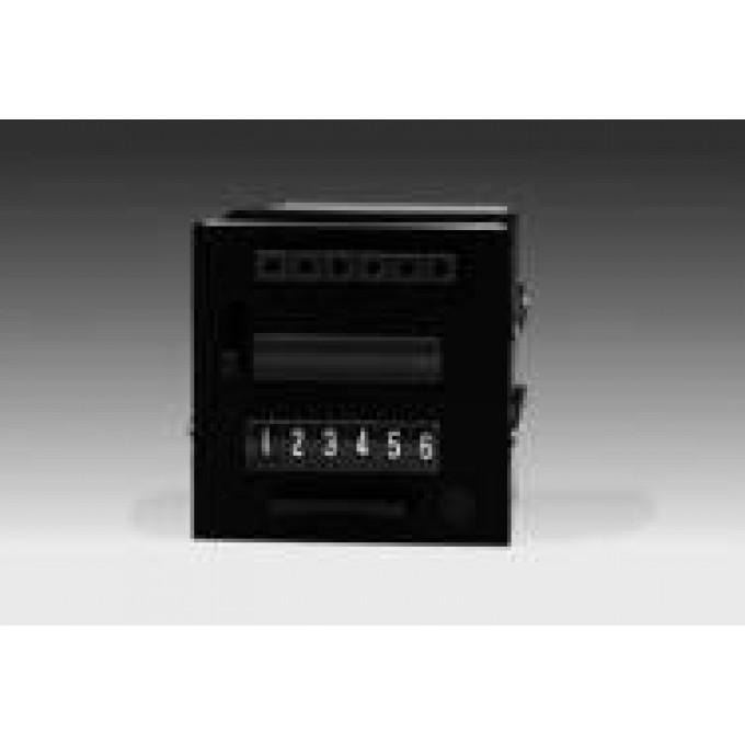 Счетчик FE524 BAUMER 119648